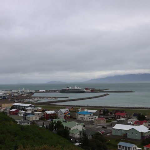 img_9877.jpg